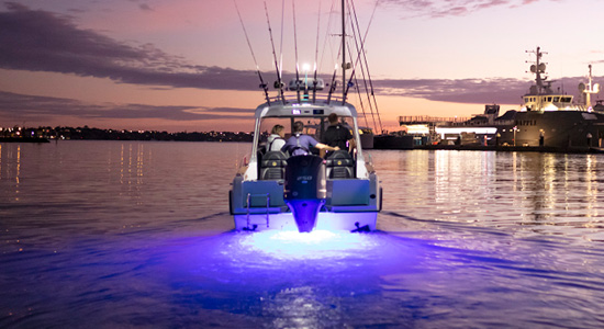 Underwater Lights | Haines Hunter HQ