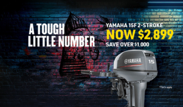 Real Deal Tough little number with Haines Hunter HQ | Haines Hunter HQ