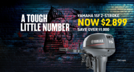 Real Deal Tough little number with Haines Hunter HQ | Haines Hunter HQ