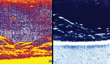 StructureScan vs Standard Sonar | Haines Hunter HQ